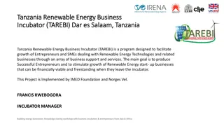 Tanzania Renewable Energy Business Incubator Overview