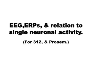 The Relationship between EEG, ERPs, and Single Neuronal Activity