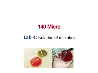 Microbial Isolation Techniques and Methods