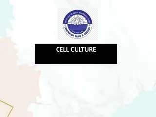 An Overview of Cell Culture Techniques