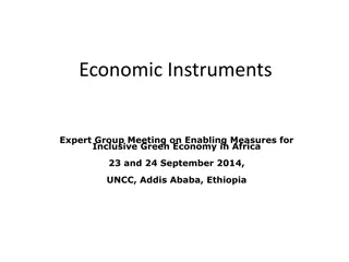 Transforming Towards an Inclusive Green Economy: Economic Instruments Expert Group Meeting in Africa