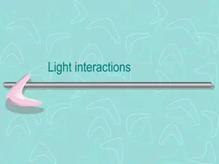 Light Interactions: Reflection, Absorption, and Fluorescence