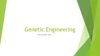 Polymerase Chain Reaction (PCR) in Genetic Engineering