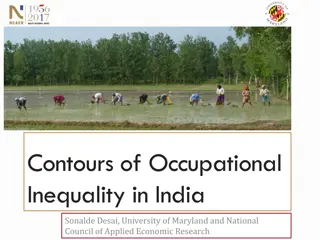 Contours of Occupational Inequality in India: Trends and Implications