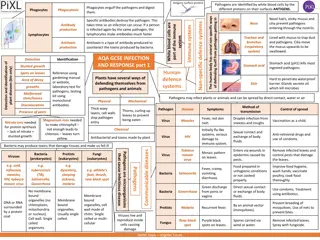 Pathogens and Immune Response Mechanisms