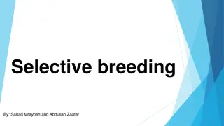 Understanding Selective Breeding: Benefits and Process