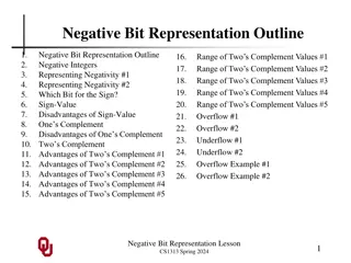 Negative Bit Representation in Computer Science