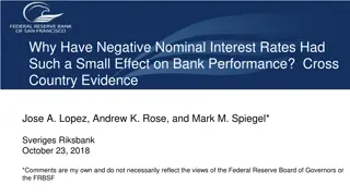 Impact of Negative Nominal Interest Rates on Bank Performance: Cross-Country Insights