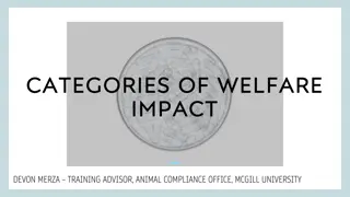 Evolution of Welfare Impact Categories in Animal Research Guidelines