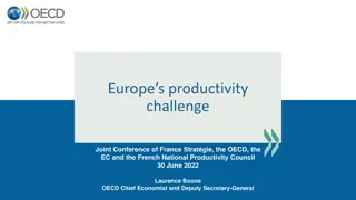 Addressing Europe's Productivity Challenges: Insights and Strategies