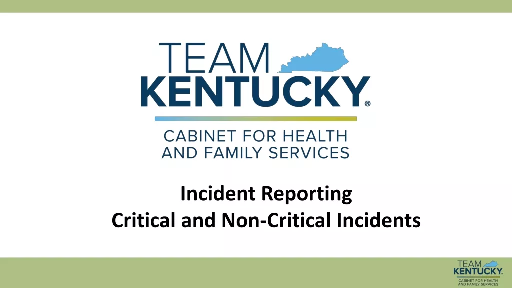 Critical and Non-Critical Incidents in Incident Reporting