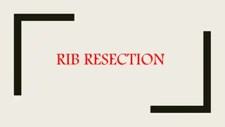 Veterinary Rib Resection Surgery Overview