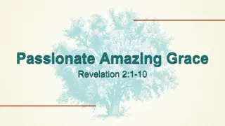 Insights from Revelation and Romans: Passion, Grace, and Endurance