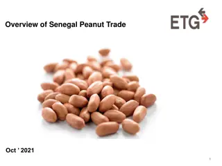 Senegal Peanut Trade Overview and Export Trends