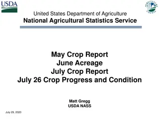 United States Agriculture Statistics: Crop Progress and Conditions Report July 2020