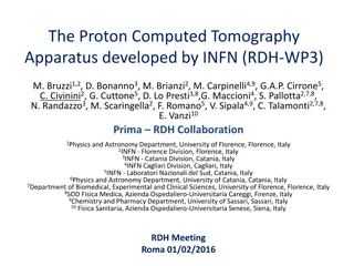 Development of Proton Computed Tomography Apparatus by INFN (RDH-WP3)