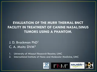 Evaluation of MURR Thermal BNCT Facility for Canine Nasal/Sinus Tumor Treatment