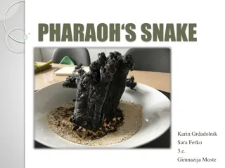 Pharaoh's Snake Experiment Procedure and Video Links