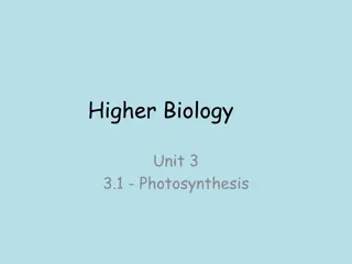 Photosynthesis in Higher Biology