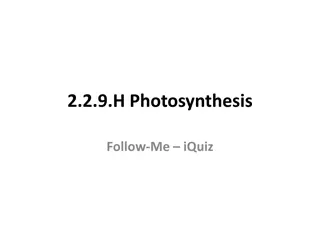 Photosynthesis: Role of NADP and Division into Light and Dark Stages