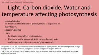 Factors Affecting Rate of Photosynthesis: Understanding Key Influences