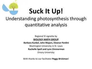 Exploring Photosynthesis: A Quantitative Analysis Vignette for Biology Students