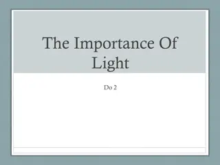 Investigating the Role of Light in Photosynthesis