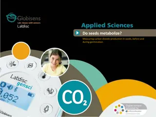 Seed Metabolism: Measuring Carbon Dioxide Production Before and During Germination