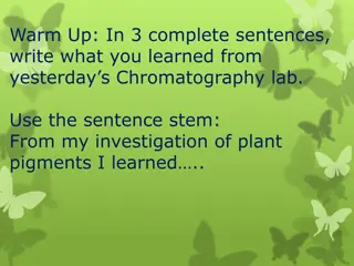 Photosynthesis and Stomata through Microscopic Observations