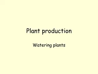 Understanding Plant Watering Methods and Techniques