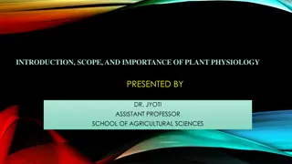 Significance of Plant Physiology in Agriculture