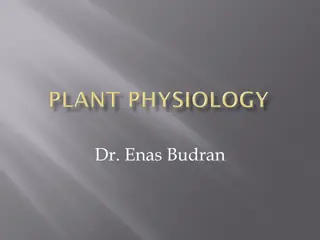 Osmotic Systems in Plant Cells