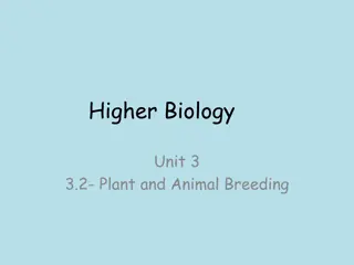 Plant and Animal Breeding Techniques