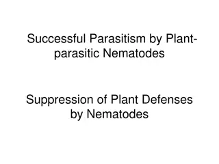 Plant-Nematode Interaction: Defense Mechanisms and Parasitism