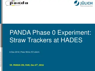 Overview of Phase 0 Experiment with Straw Trackers at HADES