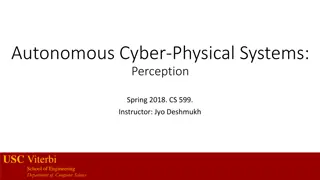 Perception and Segmentation in Autonomous Cyber-Physical Systems