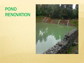 Pond Renovation Project in Palakkad: Making a Difference