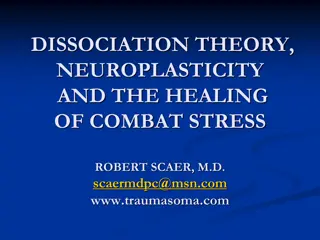 Combat Stress: Dissociation Theory, Neuroplasticity, and Healing