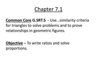 Ratios and Proportions in Geometry