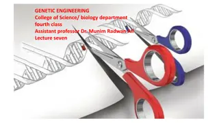 DNA Transformation in Bacterial Cells