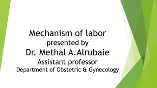 Understanding the Mechanism of Labor: Fetal Movements and Delivery Process