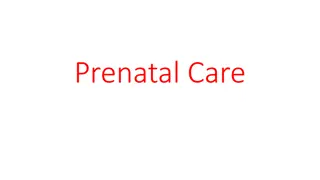 Importance of Prenatal Care for Expectant Mothers