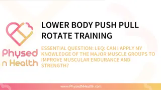 Lower Body Push Pull Rotate Training Essentials