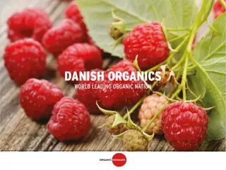 The Danish Model: Driving Organic Breakthrough & Market Growth