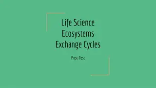 Ecosystem Exchange Cycles in Life Science