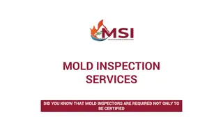 MSI Offers Professional Mold Inspection Services