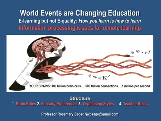 Understanding Brain Roles and Sensory Preferences in Learning