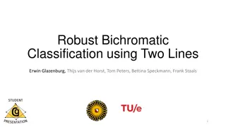 Robust Bichromatic Classification Using Two Lines