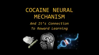 Cocaine's Neural Mechanism and Reward Learning Circuit