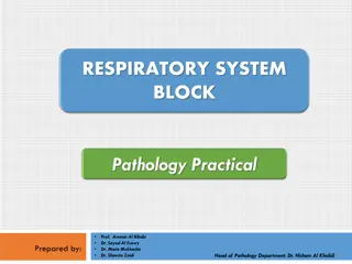 Tuberculosis and Lung Cancer in Respiratory Pathology at KSU